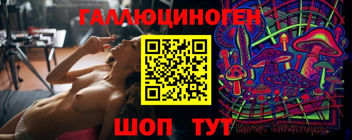 Галлюциногенные грибы GOLDEN TEACHER  Псилоцибиновые грибы мицелий  Вход с VPN  Кудымкар 