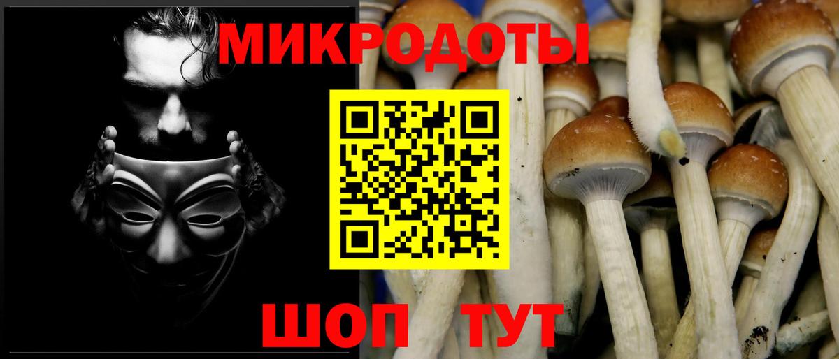 Псилоцибиновые грибы Cubensis Кудымкар