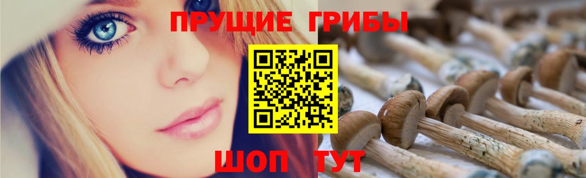 Псилоцибиновые грибы прущие грибы  Кудымкар 